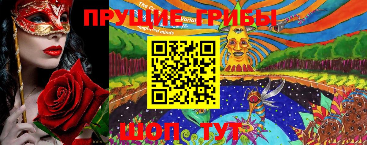 что такое   Вход с VPN  Пушкино  Галлюциногенные грибы Cubensis 